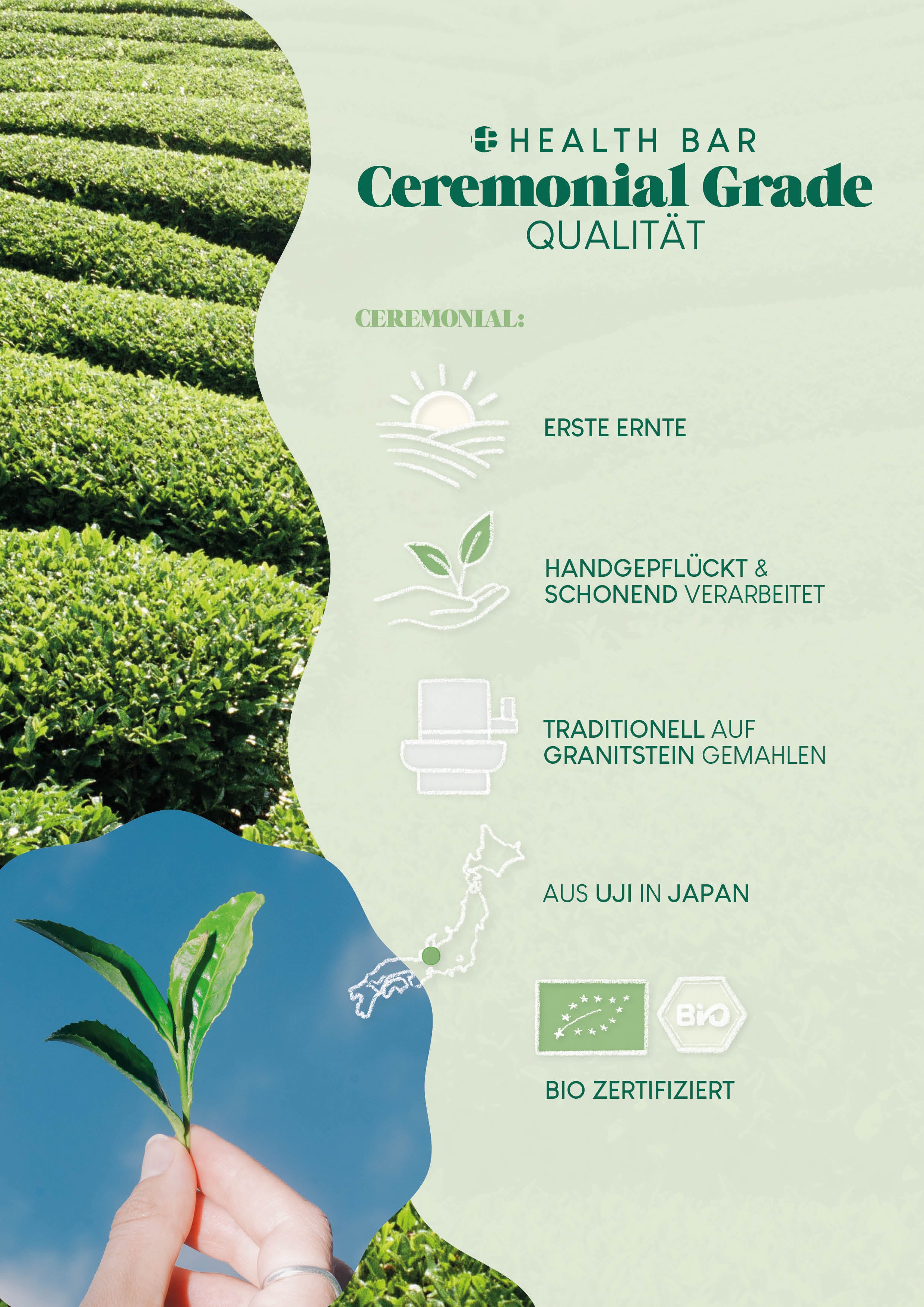 Bio - Ceremonial Matcha Tea 100g