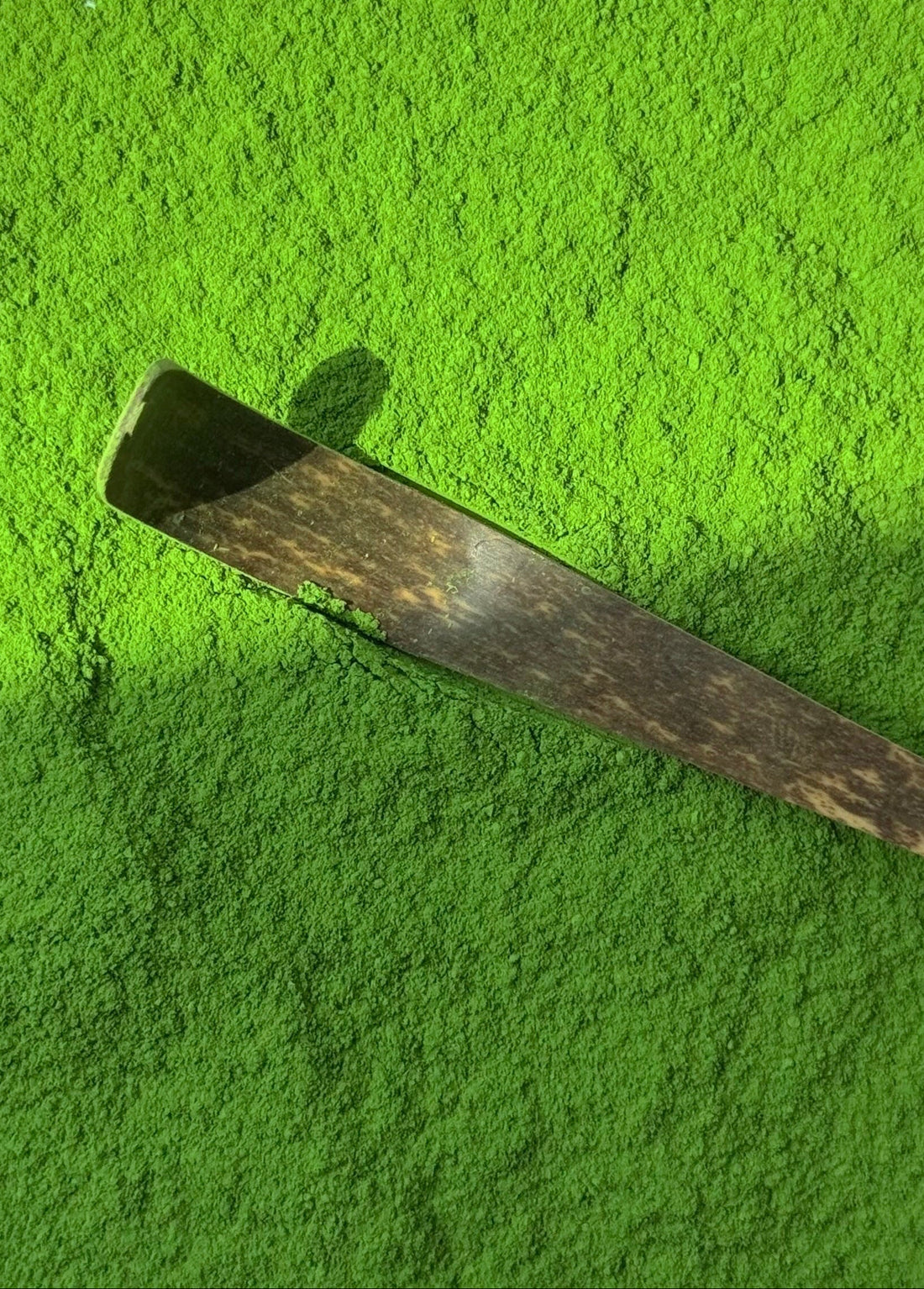 Bio Matcha Tee Okumidori – Single Cultivar – 30g