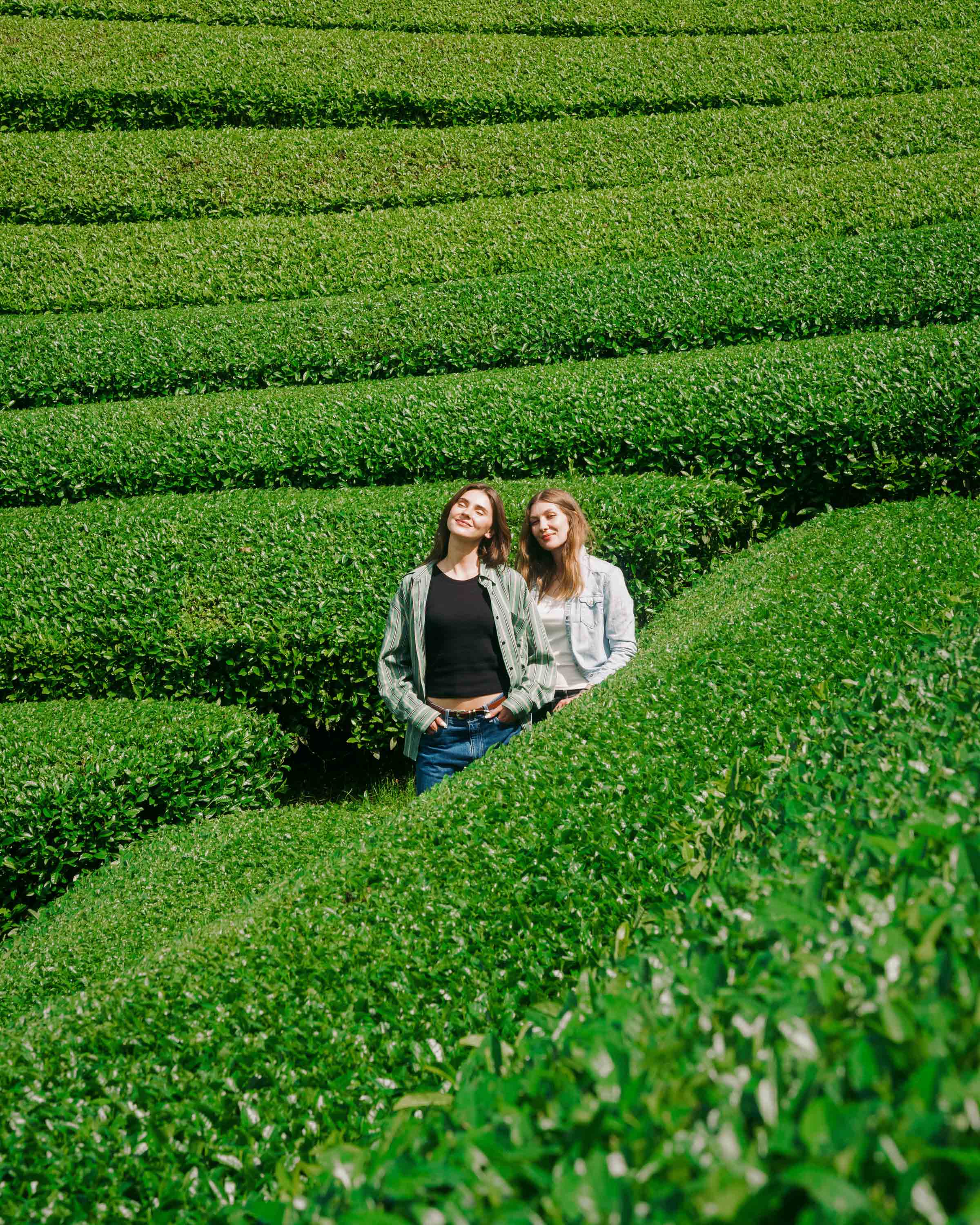 Direct Trade und Single Origin seit 2019 illustration