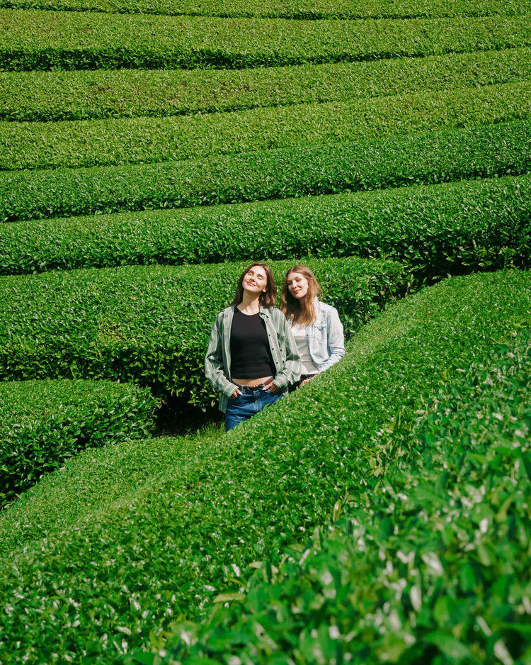 Direct Trade und Single Origin seit 2019 illustration