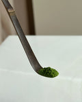 Dunkler Bambuslöffel mit einer Portion grünem Bio Matcha Pulver auf der Spitze, Nahaufnahme auf hellem Hintergrund