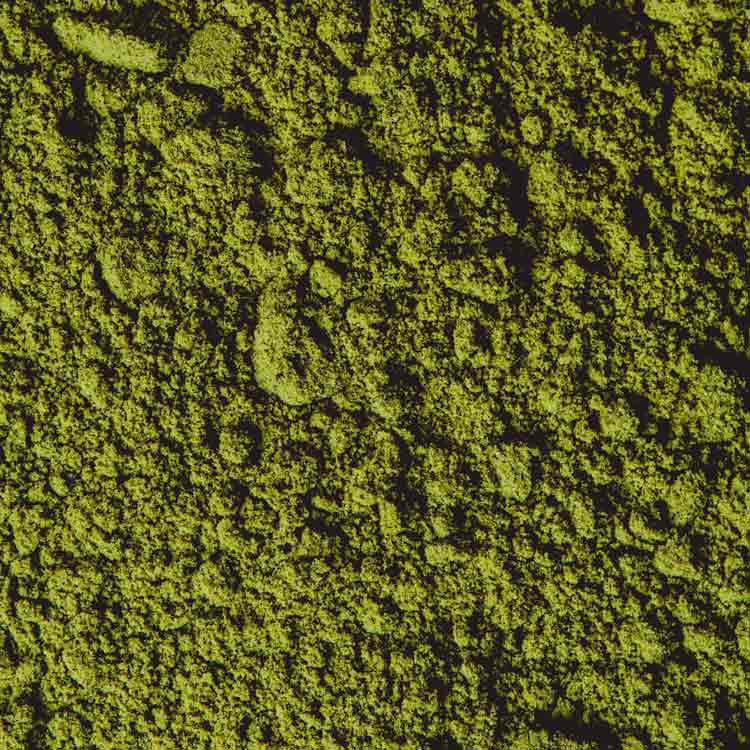 3. Kulinarischer oder Koch-Matcha: illustration