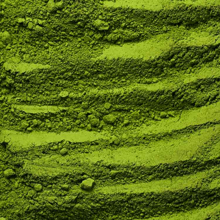 2. Traditional -Matcha: illustration