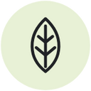 Matcha Club Bronze