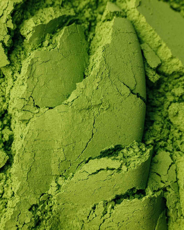 Intensive grüne Matcha Struktur in Nahaufnahme