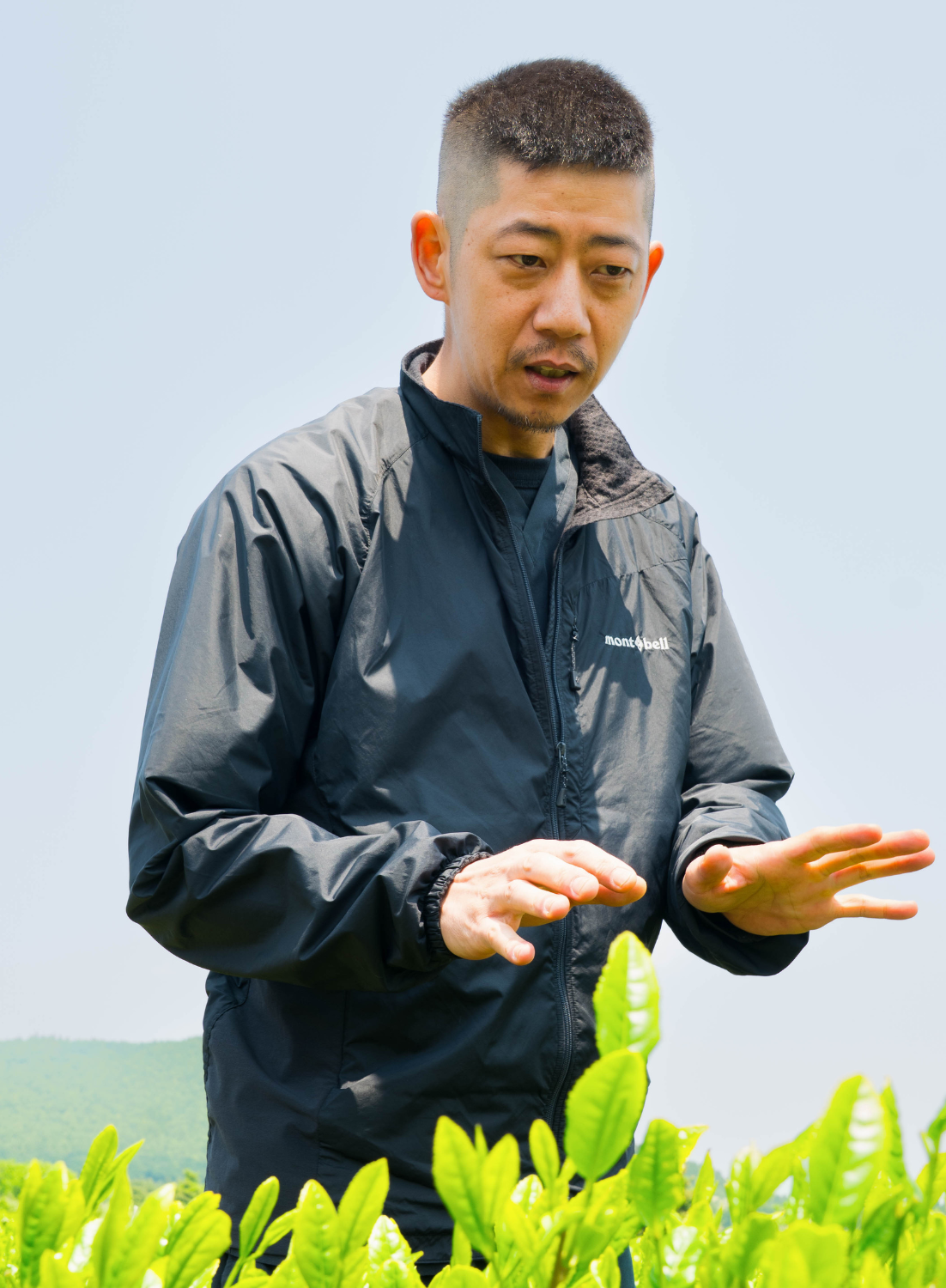 Besuch bei unserem familiengeführten Matcha-Farmer auf Jeju